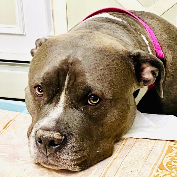 3DeeCloset - Picture 8 of 9